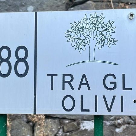 Tra Gli Olivi Apartment Lucca Exterior photo
