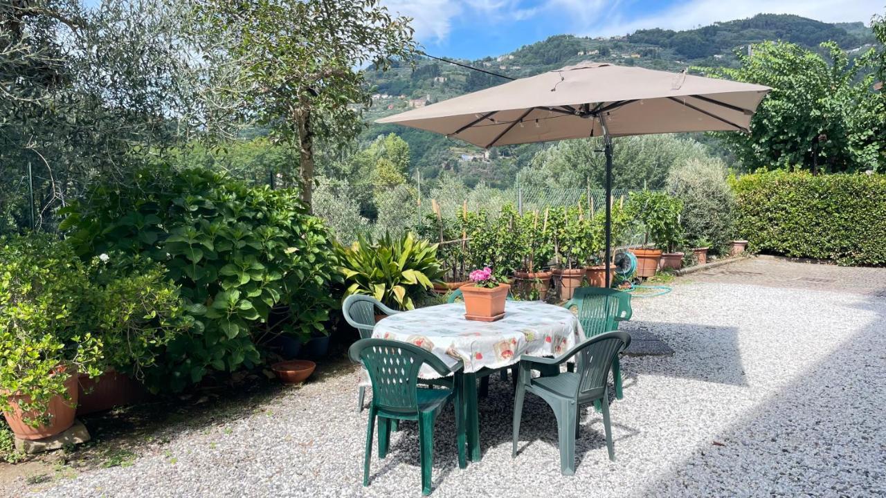 Tra Gli Olivi Apartment Lucca Exterior photo